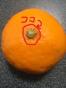 教えてもらう前と後甘いミカンの選び方