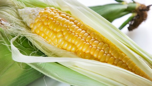 相葉マナブ フルーツとうもろこし通販お取り寄せ方法は 値段口コミも調査 7月12日放送 ママと赤ちゃんの応援サイト