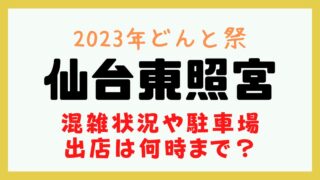 仙台東照宮 どんと祭 混雑