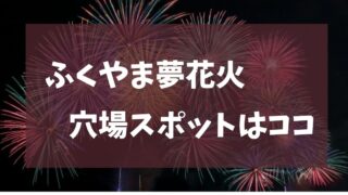 ふくやま夢花火 2025 穴場